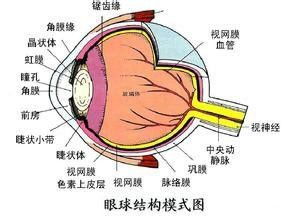 关于眼镜销售技巧